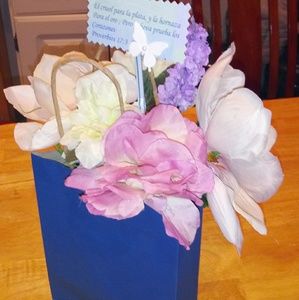 Meet your Posher, Liz